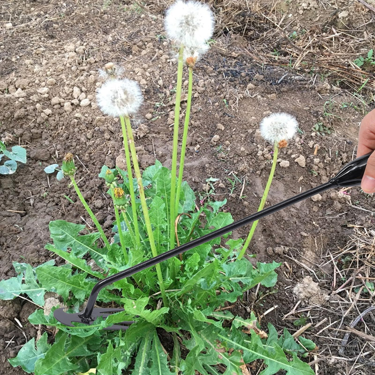 Young4us curved-base weed puller enabling precise digging around roots.