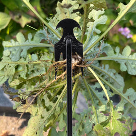 Young4us garden-weeding-action demonstrates two-pack setup for multiple tasks.