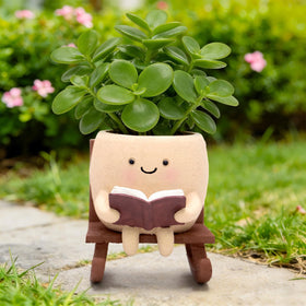 YOUOIVIA smiley-face planter on rocking chair for indoor or outdoor succulents.