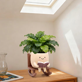 YOUOIVIA succulent pot on a rocker chair, ideal for decor.