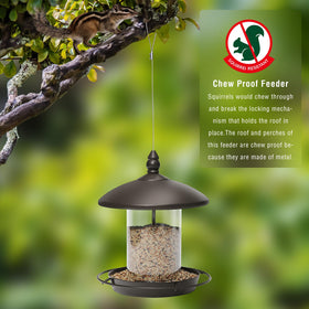 Youvip bronze metal-roof feeder full-view adds rustic charm to a yard.