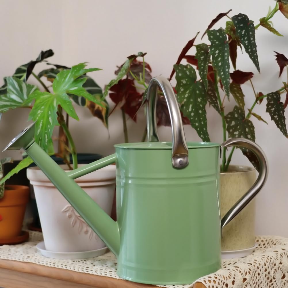 Yourjoy cream-green watering can in garden gift-ready packaging
