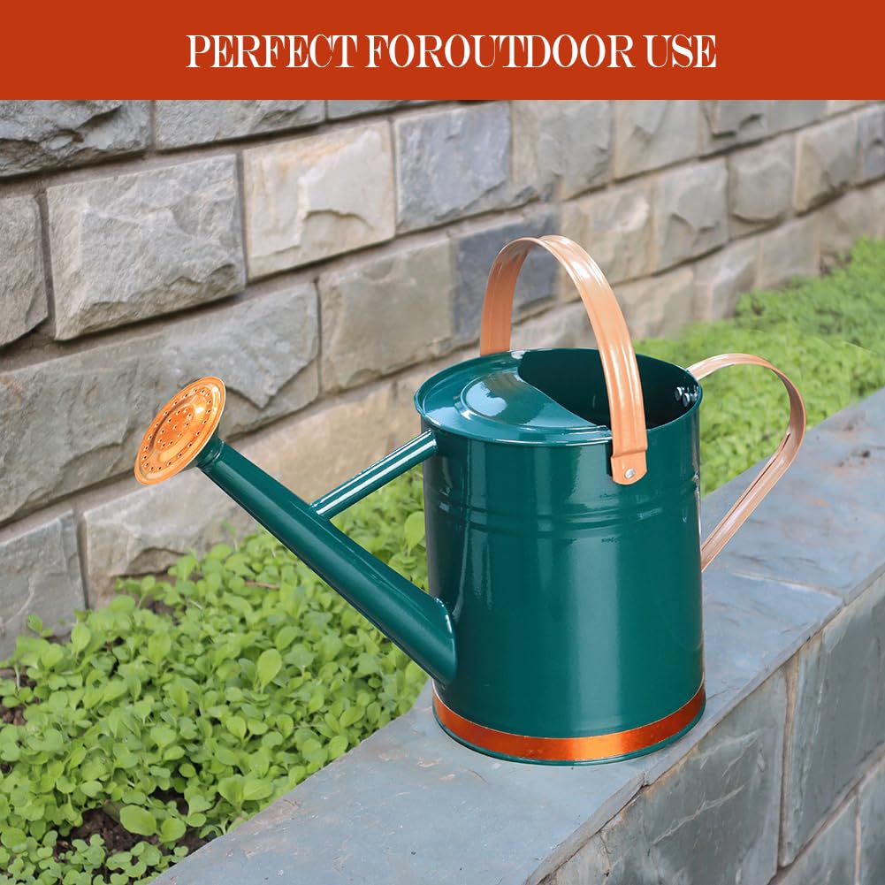 Sturdy stainless steel body of Yourjoy watering can for daily garden use