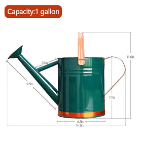Yourjoy watering can doubles as garden decor and display piece