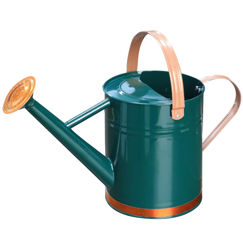 Yourjoy metal watering can with green decorative strip pours steadily for garden and houseplants