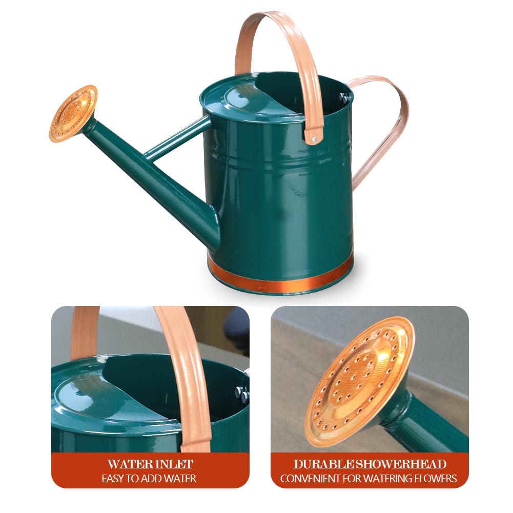 Removable spout on Yourjoy can enabling steady stream or gentle shower