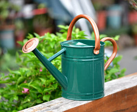 Yourjoy one-gallon green watering can close-up ready for indoor or outdoor use.