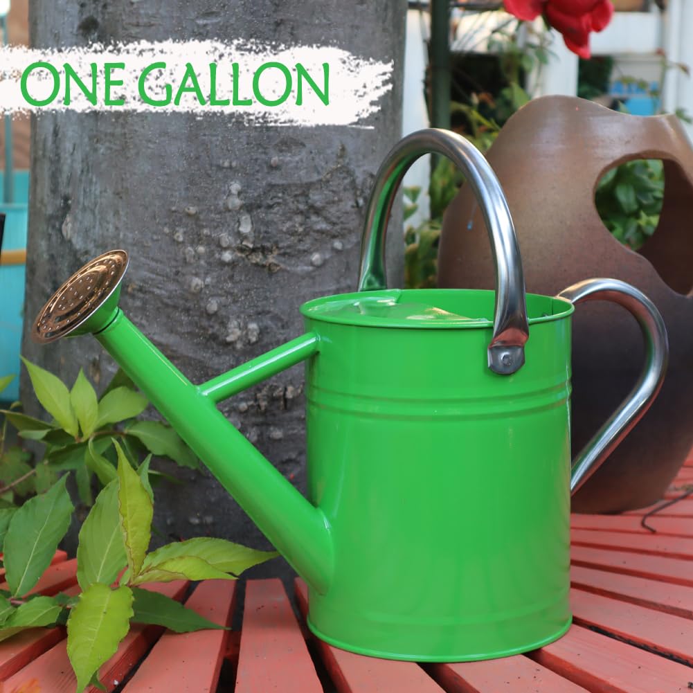 Removable spout on the Yourjoy watering can for adjustable water flow.