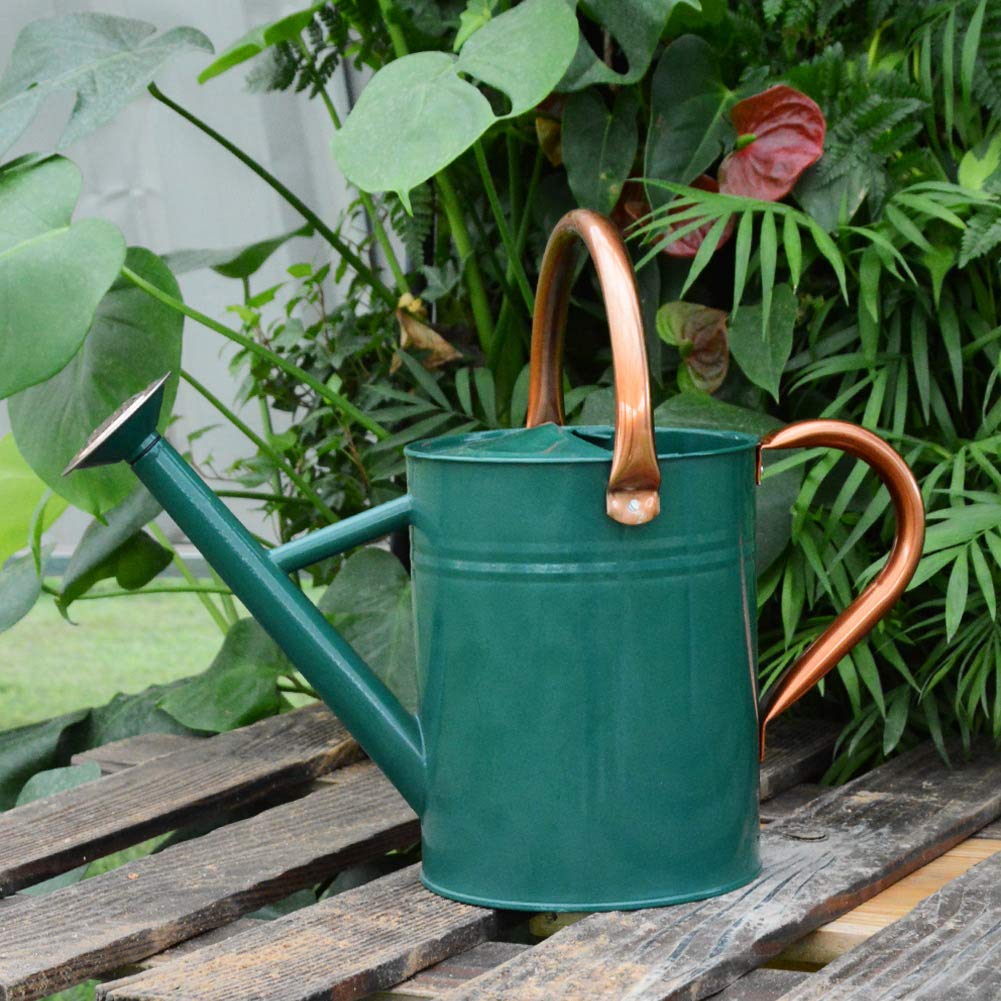 Yourjoy steel watering can in a garden setup for plant care and styling.
