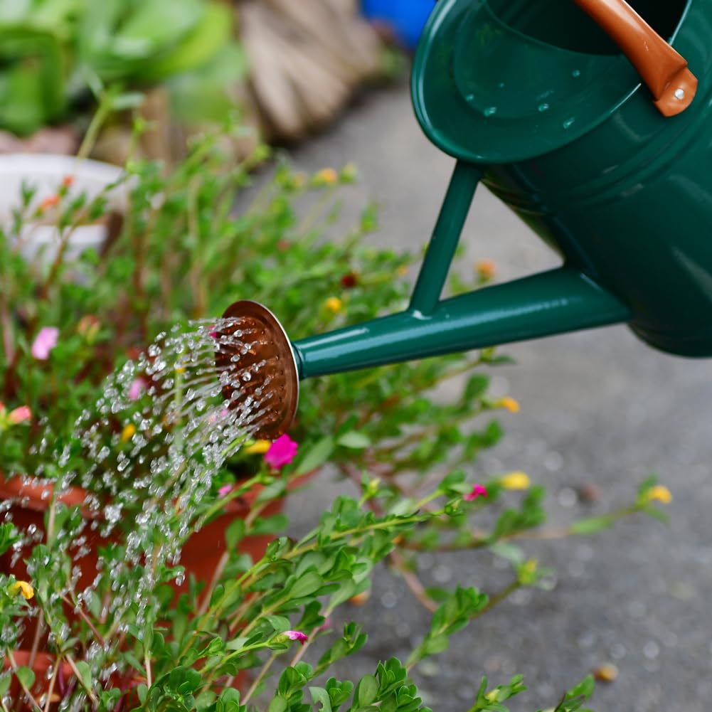 Yourjoy watering can with adjustable flow spout for gentle showers.