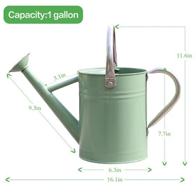 Yourjoy 1-gallon metal watering can ideal for small plant collections