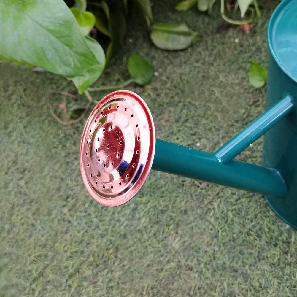 Yourjoy watering can presented as a thoughtful housewarming gift option.