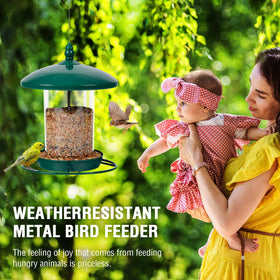 Youvip 360-degree feeding area attracts a variety of garden birds.