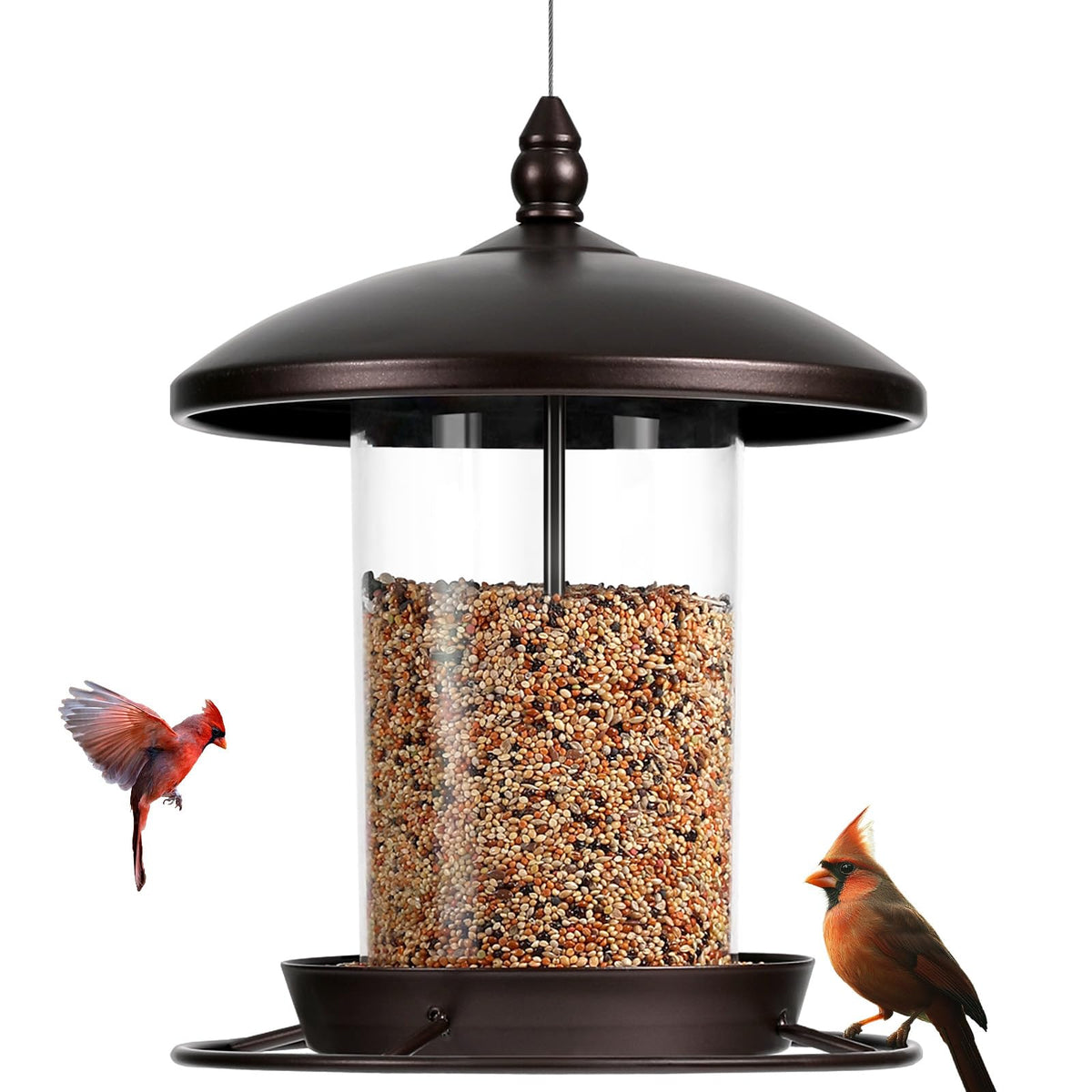 Youvip metal bird feeder for outdoor hanging with anti-chew protection against squirrels