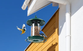 Youvip pack2 bird feeder outdoor green quick-clean and refill ready