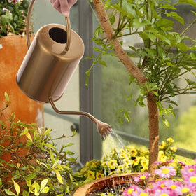 Yowonmetal perfect for succulents, herbs, and flowering houseplants.