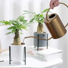 Yowonmetal gold finish complements modern home decor.