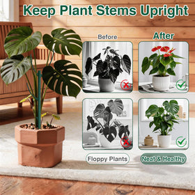 YOYOKIT fern support sticks help maintain graceful arches for ferns