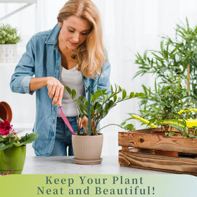 YOYOKIT indoor-outdoor plant stake set fits patios and living rooms