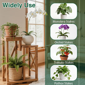 YOYOKIT monstera support sticks keep climbing leaves upright and healthy
