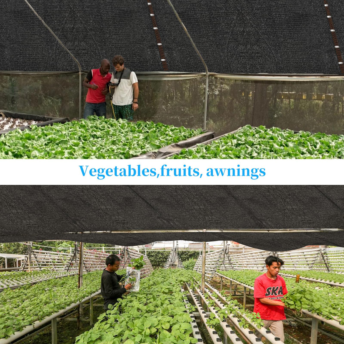 YQLBGPRJ breathable shade net for camping and backyard