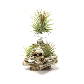YRDGRG Halloween plant pot sparks conversation on mantels and countertops