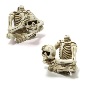 YRDGRG skeleton flowerpot suits terrariums or mini gardens with flair