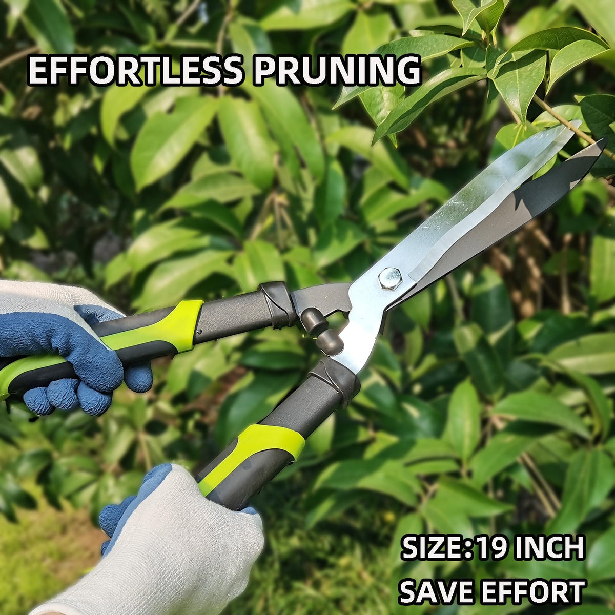 YRTSH hedge clippers suited for hedges, fruit trees, shrubs and borders