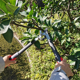 YRTSH long-handled tool easing heavy duties during orchard or yard cleanup