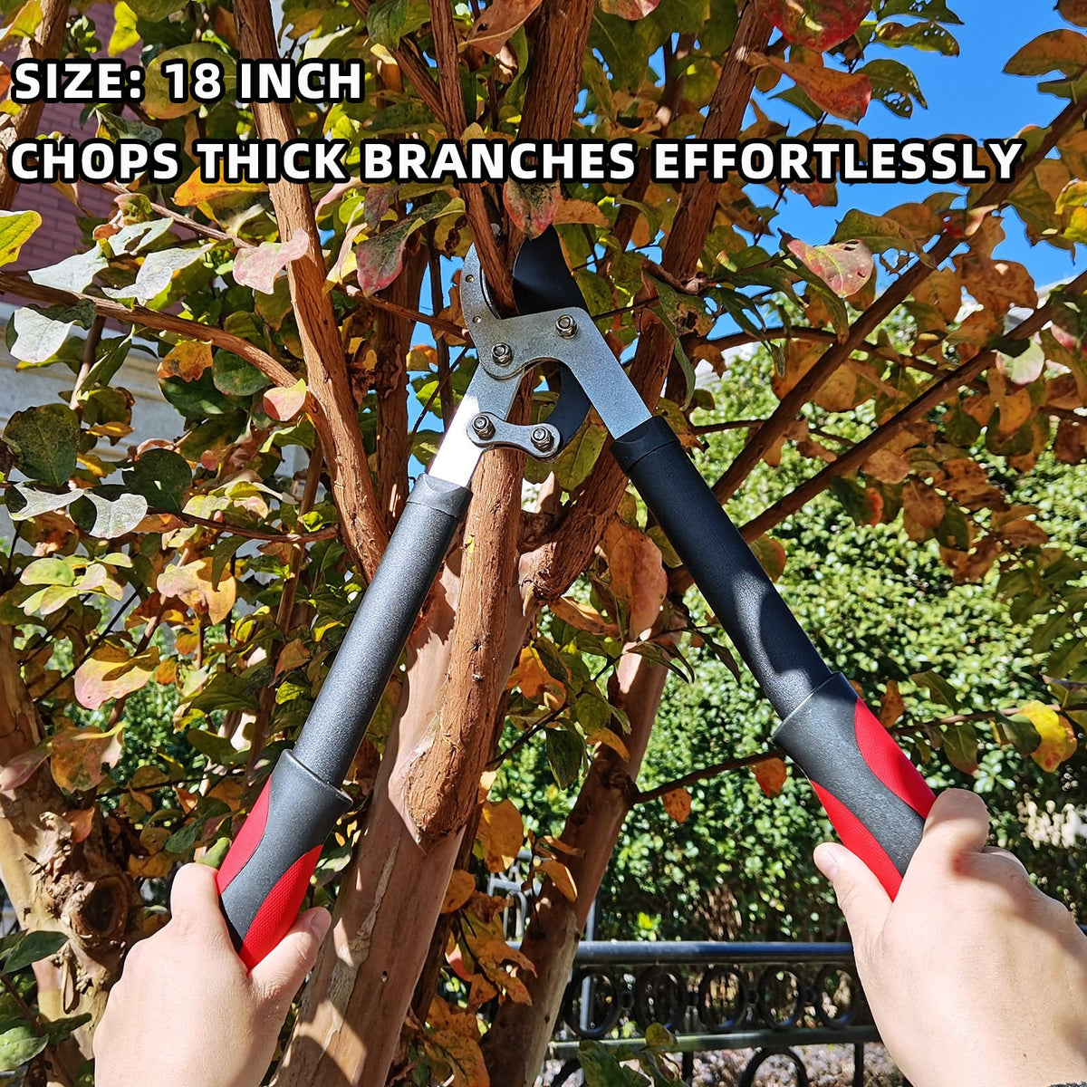 YRTSH rose and bushes pruning illustrate versatile landscape maintenance