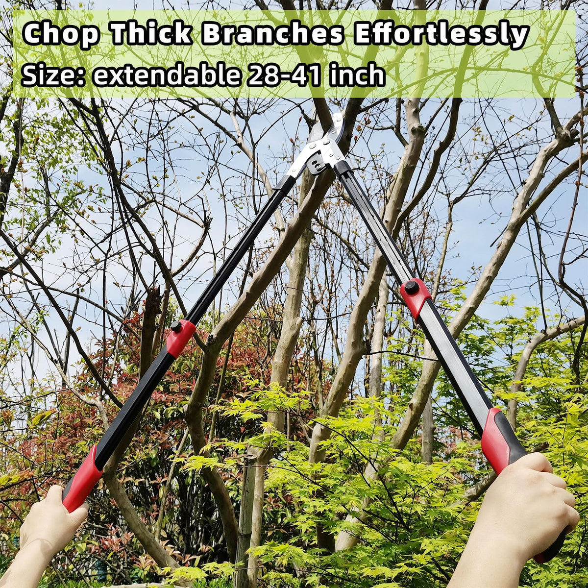 YRTSH loppers a long-lasting tool for daily garden tasks.