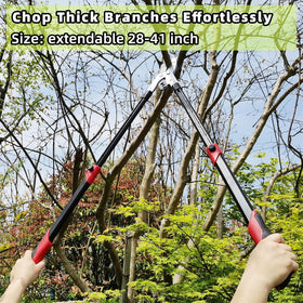 YRTSH loppers a long-lasting tool for daily garden tasks.