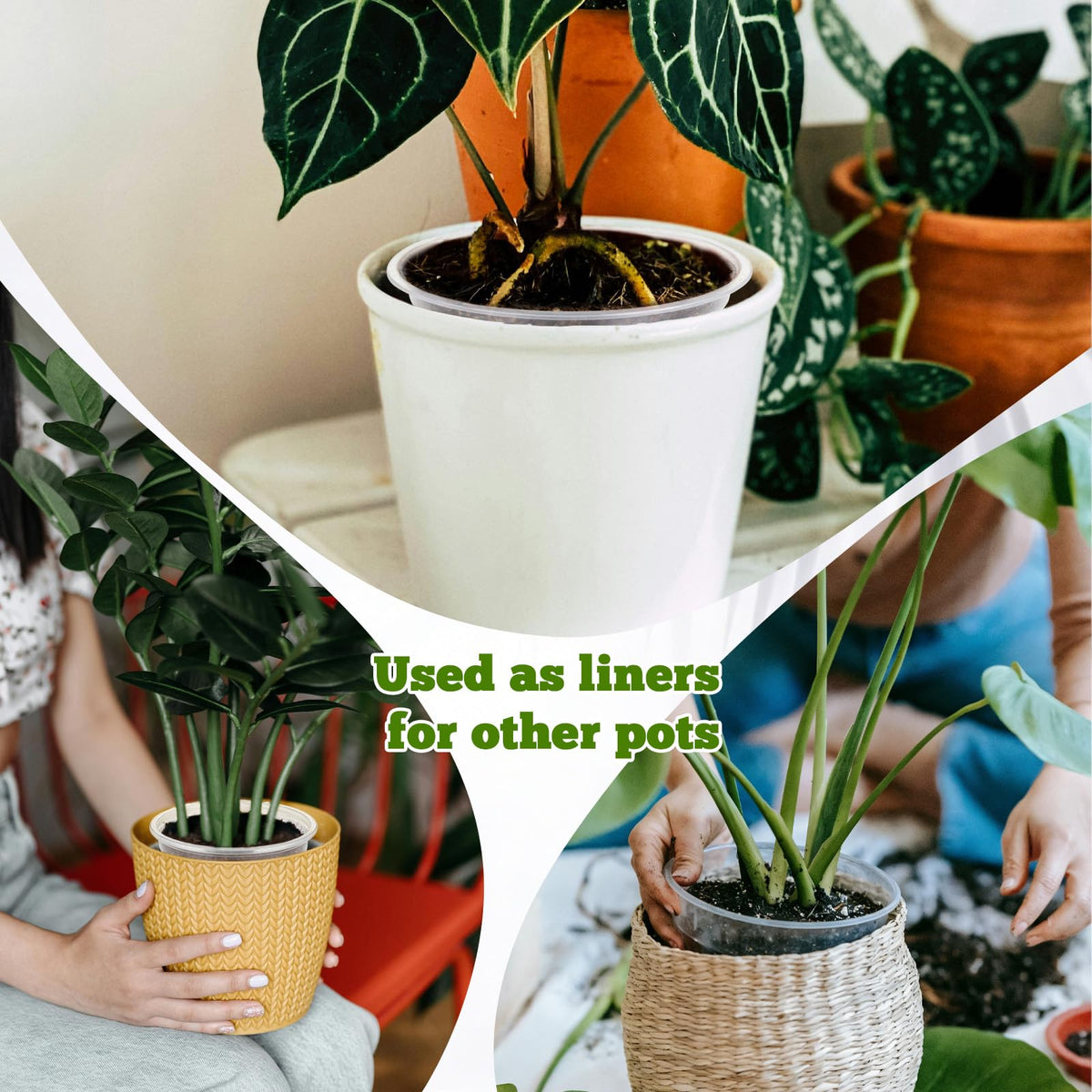 Ysglory 10-inch clear pot ideal as liners for decorative planters.
