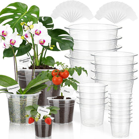 Ysglory clear nursery pots in 4-inch size for seed starting and transplant readiness.