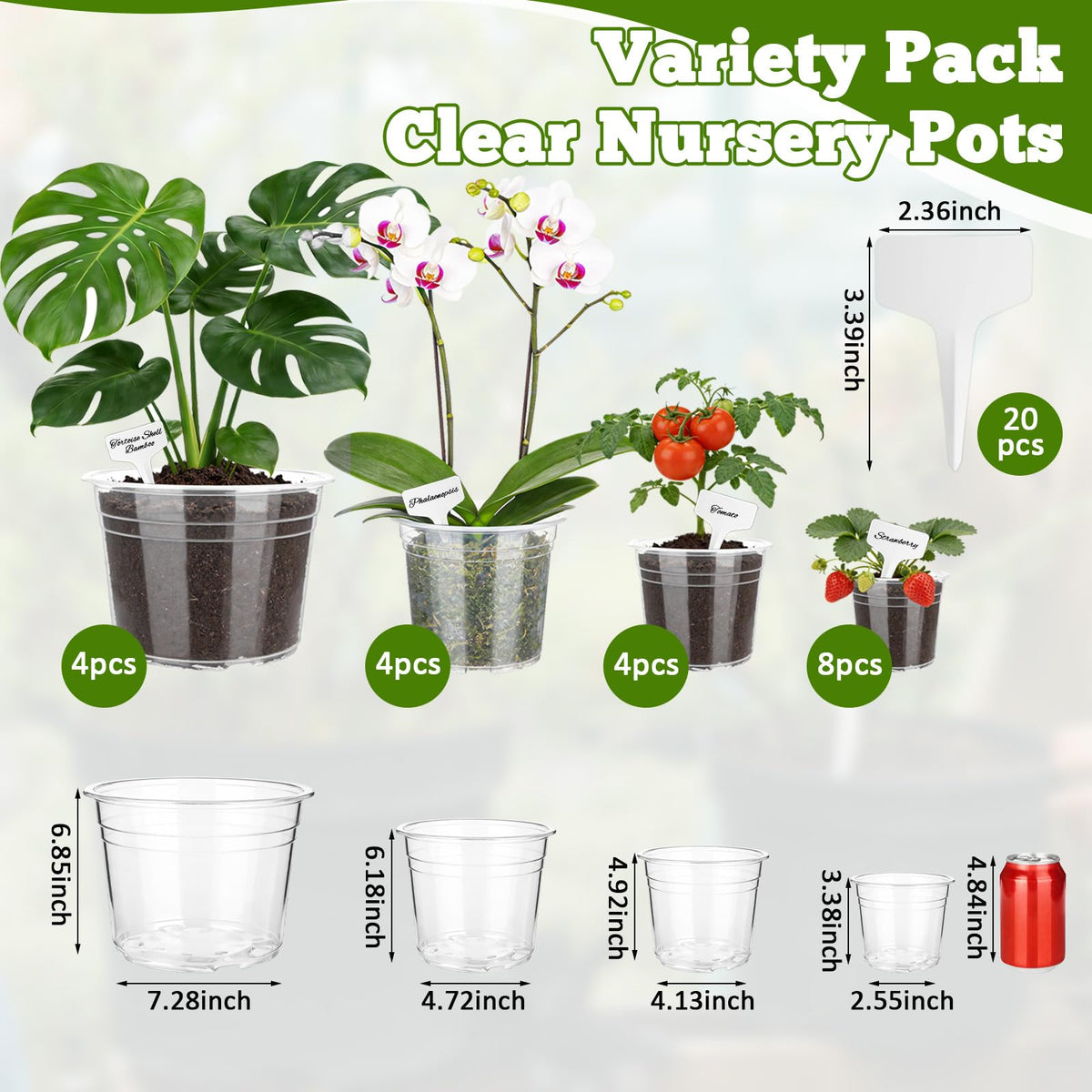 Ysglory clear nursery pots in 6-inch size for robust seedling growth.