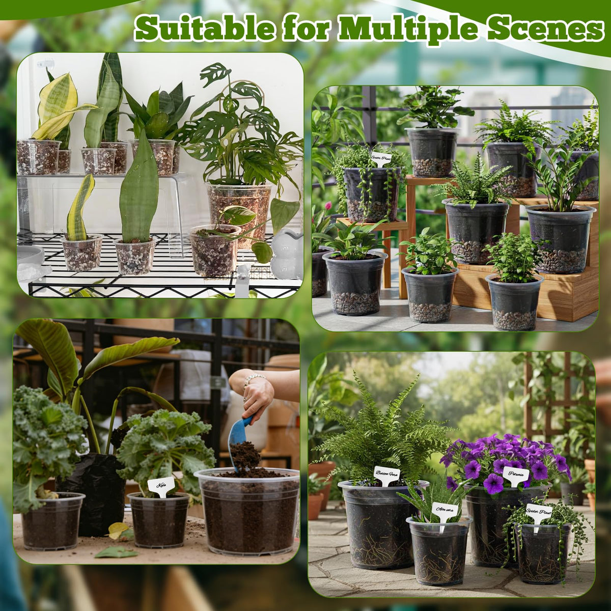 Ysglory multi-size set covers seed starting through transplantation stages.