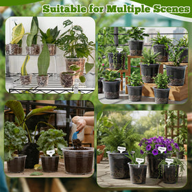 Ysglory multi-size set covers seed starting through transplantation stages.