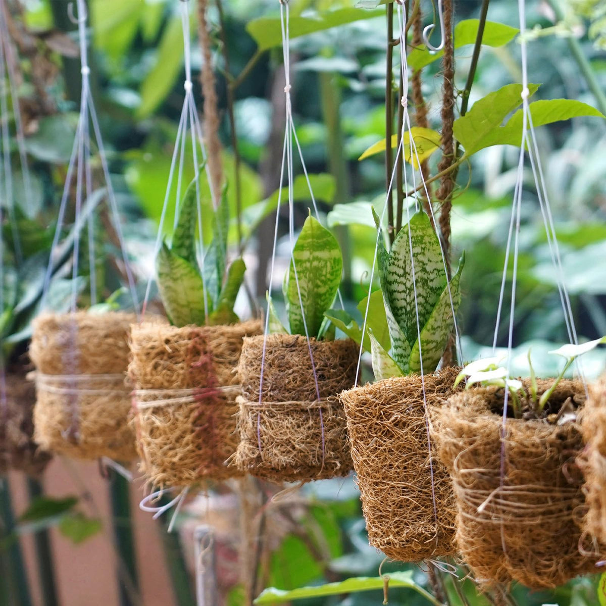 Ysglory natural coir fiber mat bulk two-roll set for versatile gardening projects
