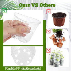 Ysglory plant labels help you organize varieties and care routines.