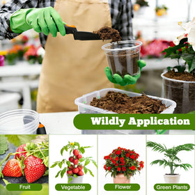 Ysglory transparent pots enable root observation without disturbing plants.