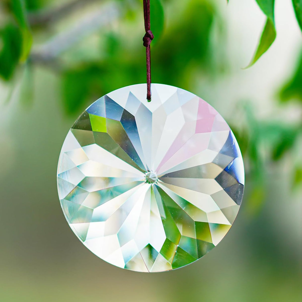 YU FENG Bauhinia round crystal suncatcher catching sunlight and creating bright prisms