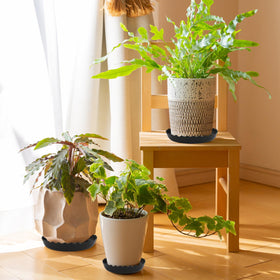 YUANAIYI Wave Plant Saucer edge detail, stylish wave rim adds decor to pots.