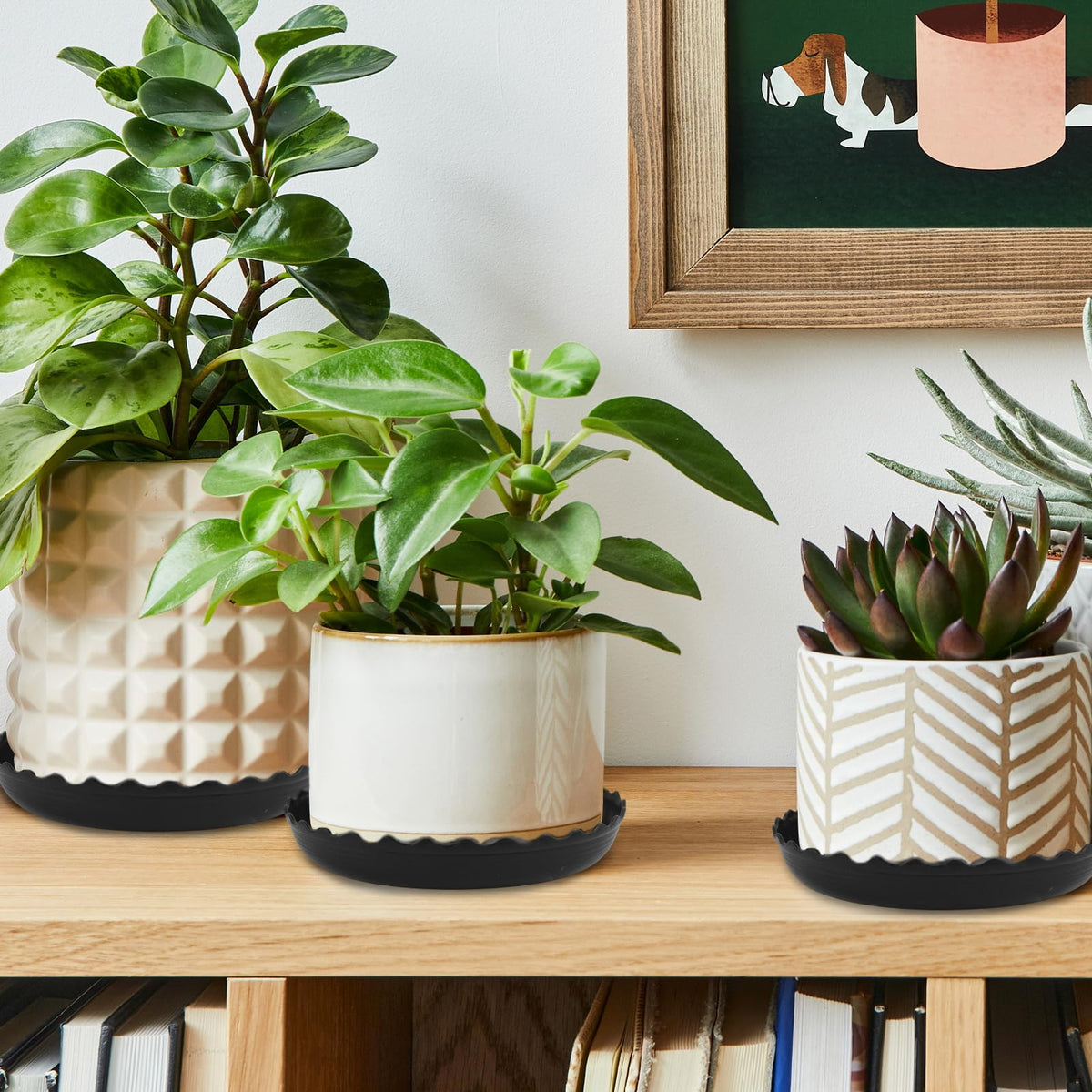 YUANAIYI Wave Plant Saucer seedling use, doubles as a mini growing tray.