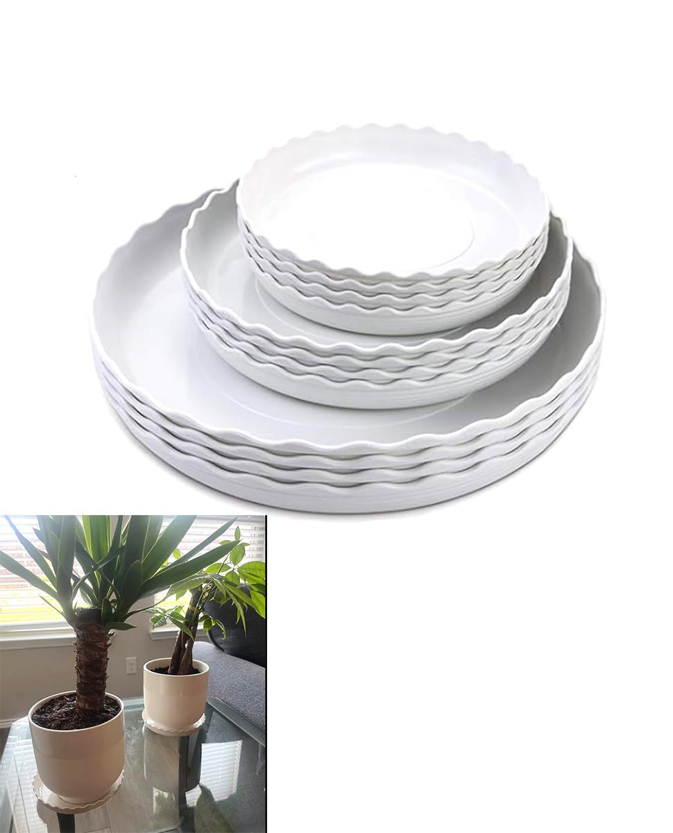 YUANAIYI Wave Plant Saucer 6-inch front view catches overflow to protect floors