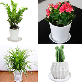 YUANAIYI Wave Plant Saucer close-up shows durable PP resin ready to protect surfaces