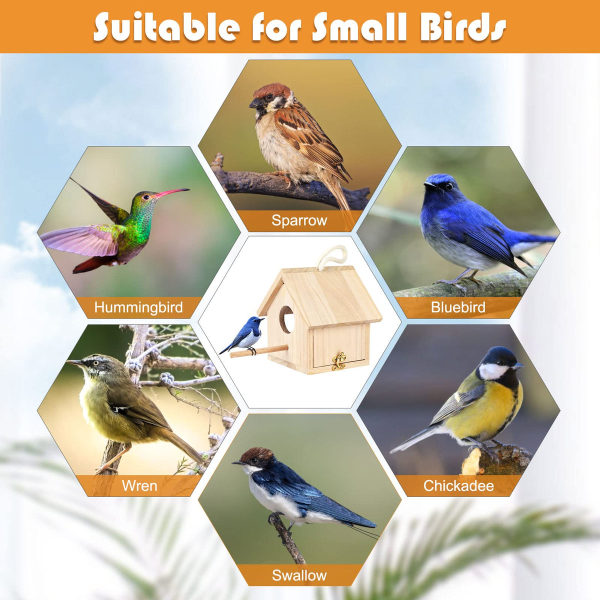 YUEPET DIY-friendly bird house invites painting and personalization.