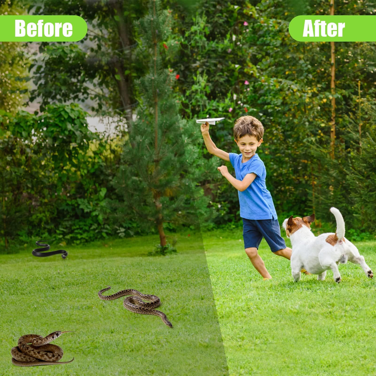 YUEQINGLONG green-pack snake deterrent pills with natural oils.