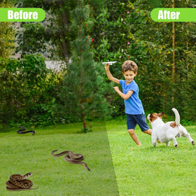 YUEQINGLONG green-pack snake deterrent pills with natural oils.