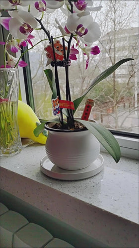 7-inch Yukfona saucer fits a wide range of pot bottoms for versatility.