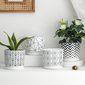White finish Yukfona ceramic saucer blends with modern decor and greenery.